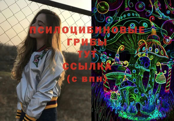 скорость Новозыбков