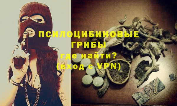 скорость Новозыбков