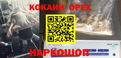 крисы Бийск