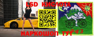 шишки Берёзовский