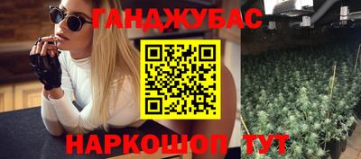 крисы Бийск