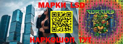 крисы Бийск