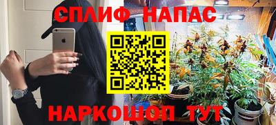 шишки Берёзовский