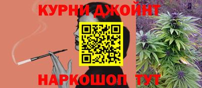 крисы Бийск