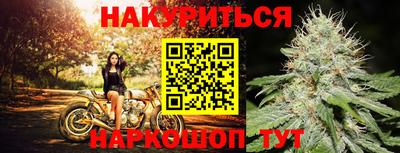 шишки Берёзовский
