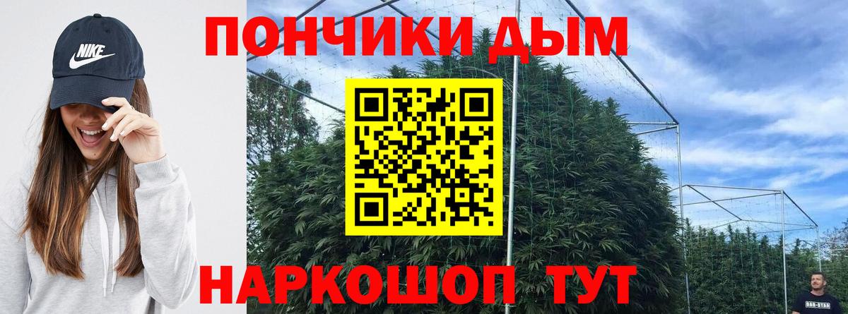 Канабис White Widow  Бошки марихуана White Widow  Ивантеевка  МАРИХУАНА план 